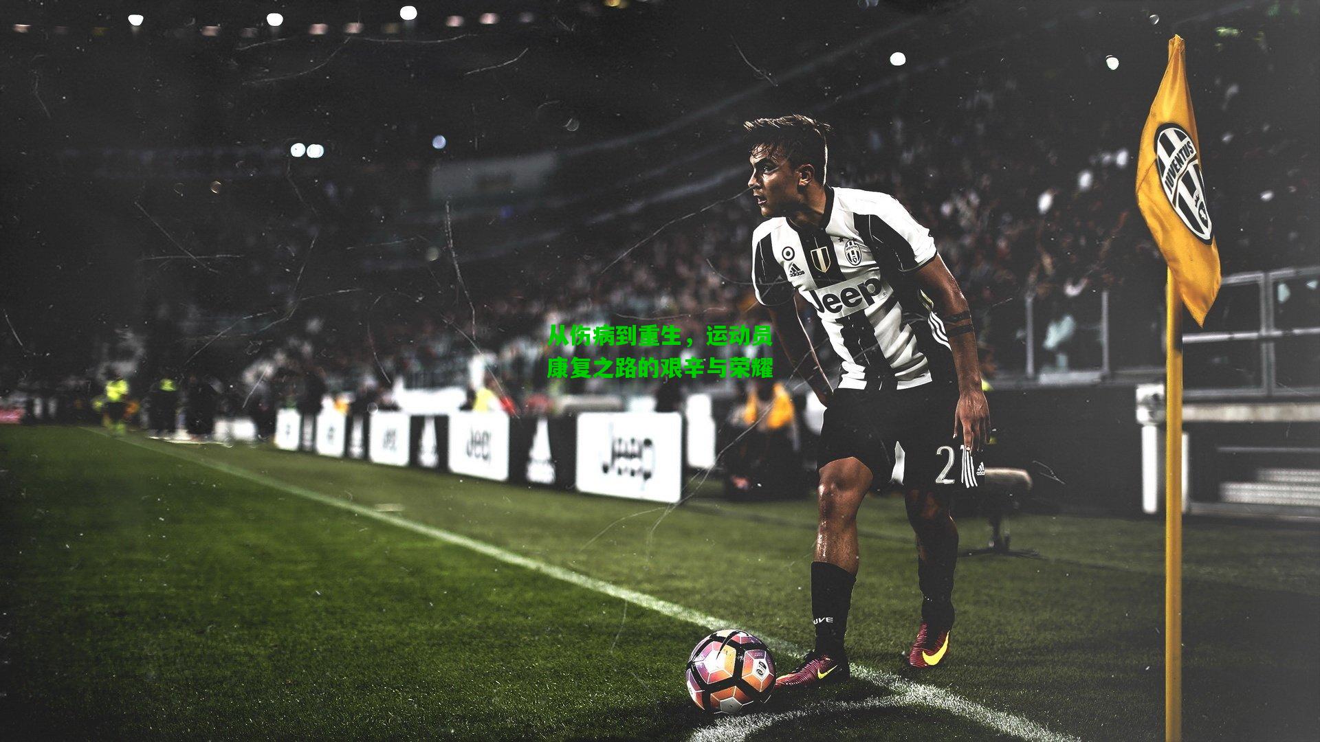 从伤病到重生，运动员康复之路的艰辛与荣耀