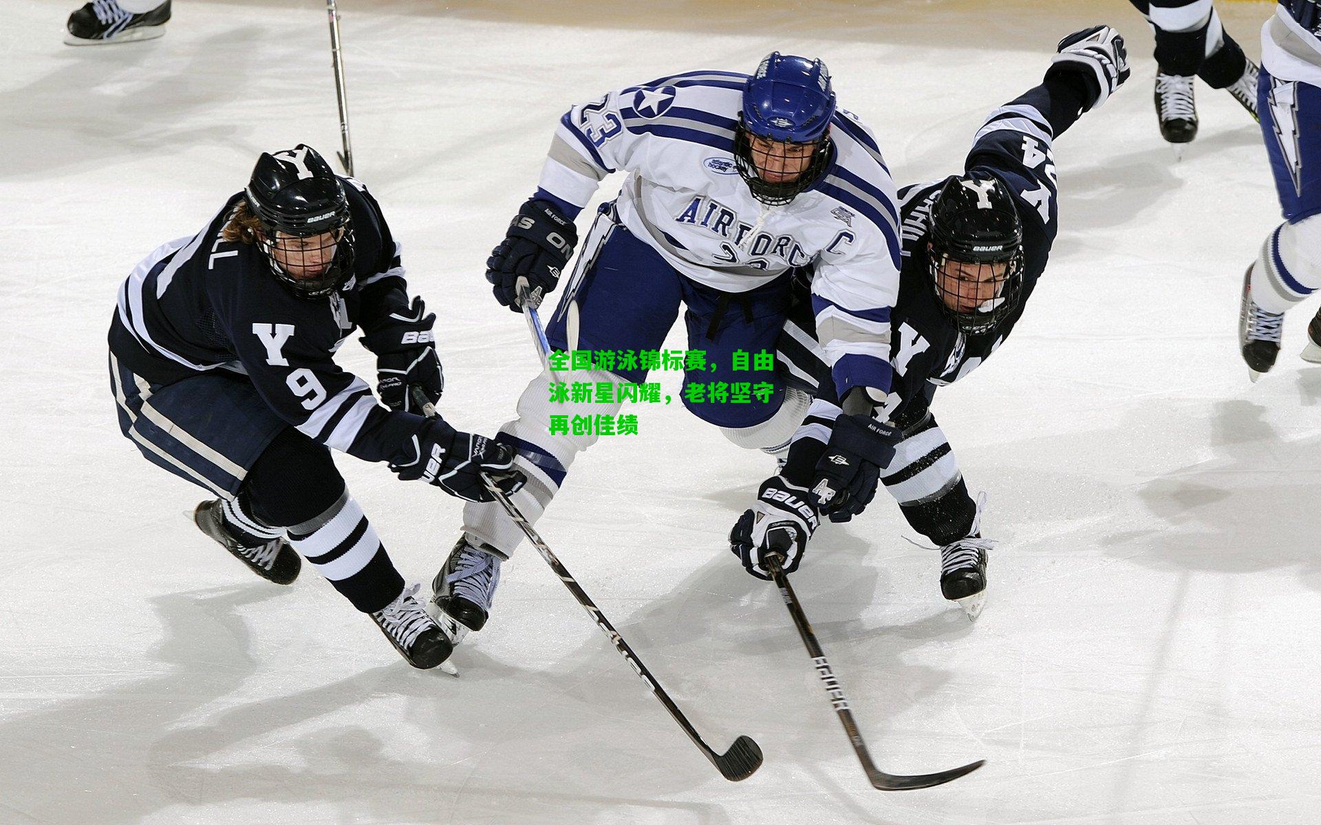 全国游泳锦标赛，自由泳新星闪耀，老将坚守再创佳绩