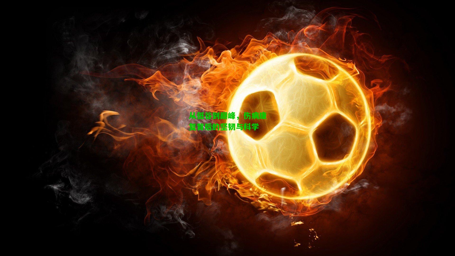 从低谷到巅峰，伤病康复背后的坚韧与科学